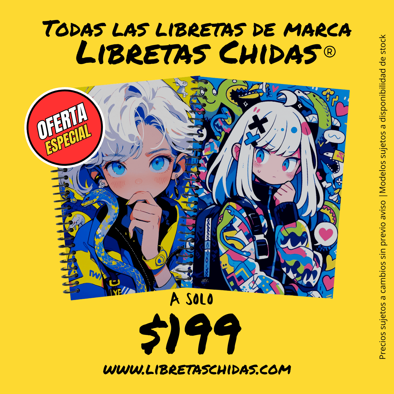 Libretas Chidas