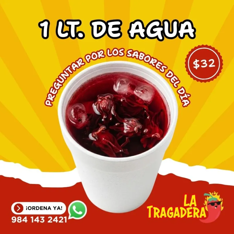 LITRO DE AGUA